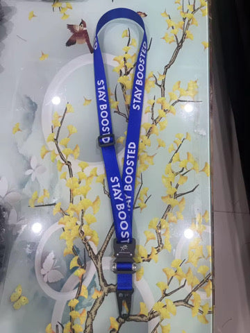 Stay Boosted Lanyard